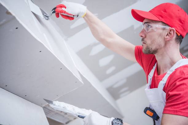 Best Ceiling Drywall Installation  in Hokes Bluff, AL